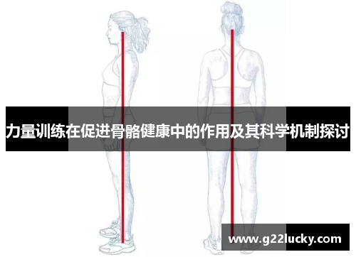 力量训练在促进骨骼健康中的作用及其科学机制探讨