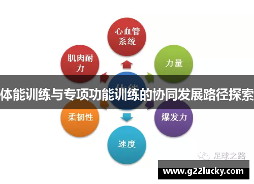 体能训练与专项功能训练的协同发展路径探索